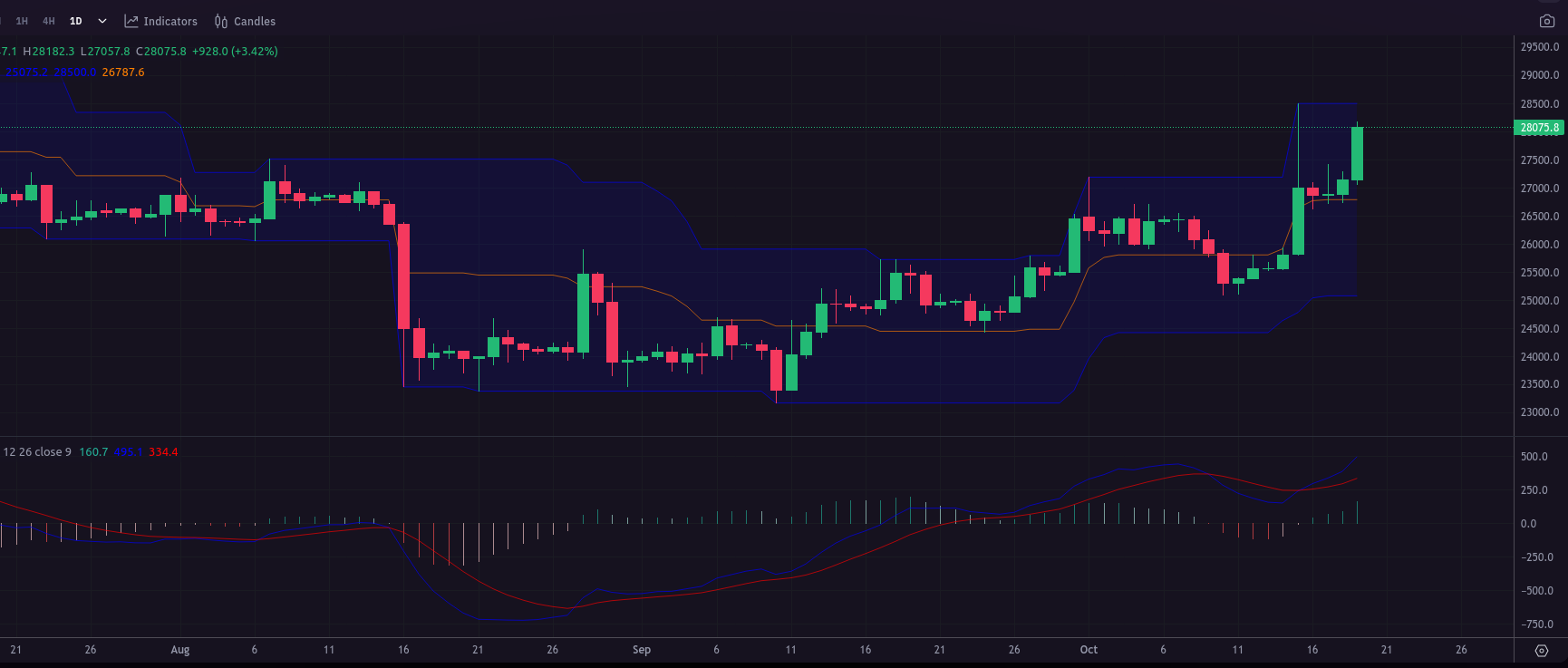 turtle strategy bitcoin market bullrun